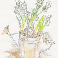white hyacinths