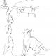 cat and bird