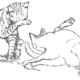 cats washing