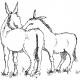 two donkeys | £1 | 15 x 10cm | pen and ink two donkeys