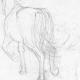 trotting horse