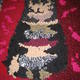 Three cats