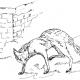 the old fox