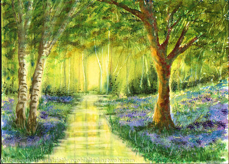 Woodland stream