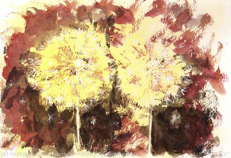 Dandelion Clocks