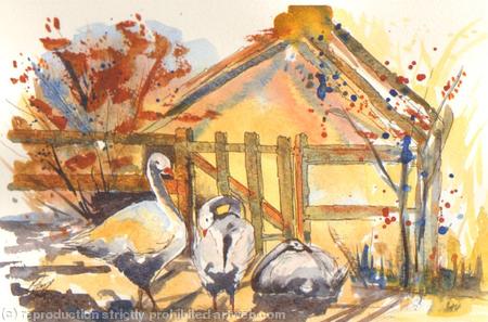 Goosey Gander