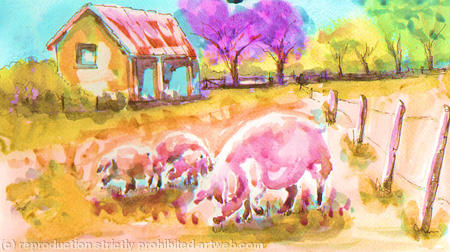 Pinky Porkers