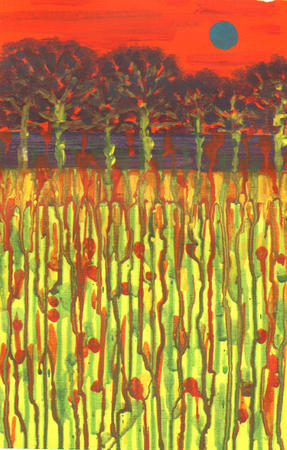 Autumn trees in a popy field