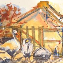 Goosey Gander