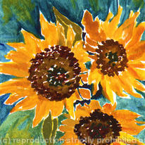Sasllys sunflowers