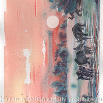 Image7.jpg elephants at the waterhole