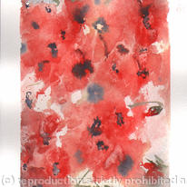 Image4.jpgabstsract poppies