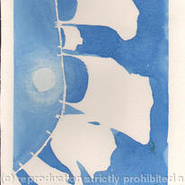 Image1.jpgbright day for drying