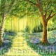 Woodland stream