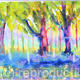 Bluebell Wood