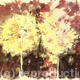 Dandelion Clocks