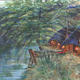 Bushmans river at night