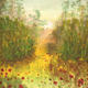 afternoon sunshine with…