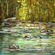 River and Stones