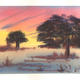 acacias a winter silhoueette