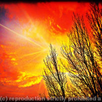 Kippax Sunrise