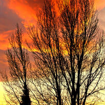 Sun Rise at Kippax