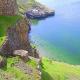 Looking Down On Ed's… | ¥300 | | photograph Looking Down On Ed's…