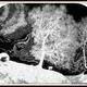 Sheep On a Hill