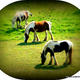3 Horses