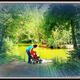 Tranquility In The Park