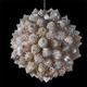 romanesco pendant | | 30 x 30cm | polyester resin, fibreglass, LED's romanesco pendant