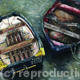 Tender Gibsons Choice