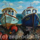 Mackerel Fishing Trips