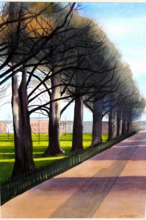 Brighton Elms