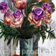 Cabbages or Flowers | ¥32700 | | MixedMedia Cabbages or Flowers