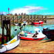 RYE HARBOUR SPRING 200909