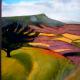 Windy Spot-above the…