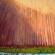 Sun, ploughed field,…