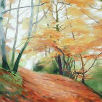 509 Woodland - Autumn 1 Gillfield Woods, Totley