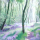 457 Woodland - Spring…