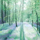 458 Woodland - Spring…
