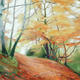 509 Woodland - Autumn…