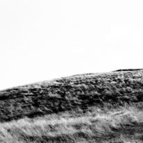 hidden Hillside 1