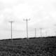 Poles