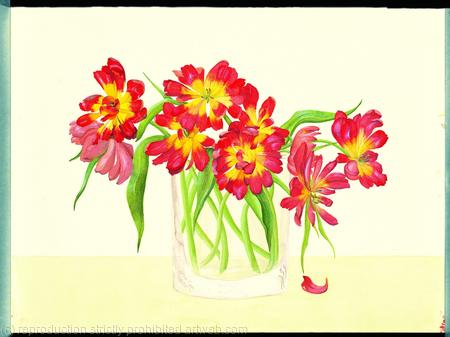 Tulips