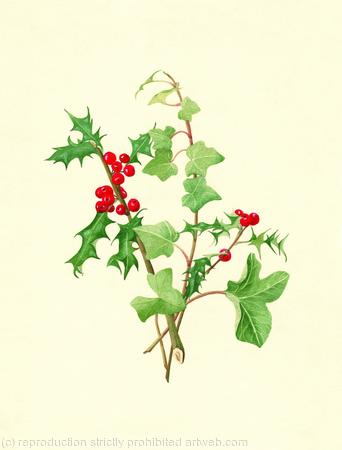 Holly  and Ivy