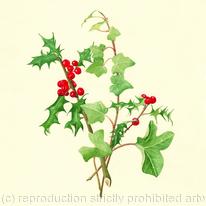 Holly  and Ivy