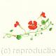 Tropaeolum 2