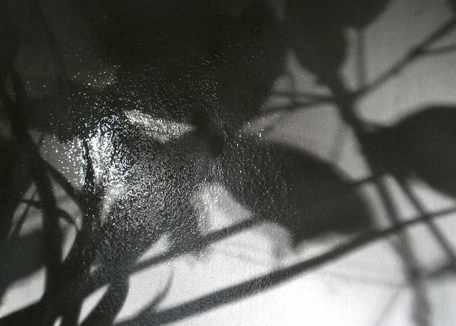 Stretched Paper photograph width=
