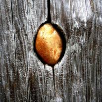 Golden Egg